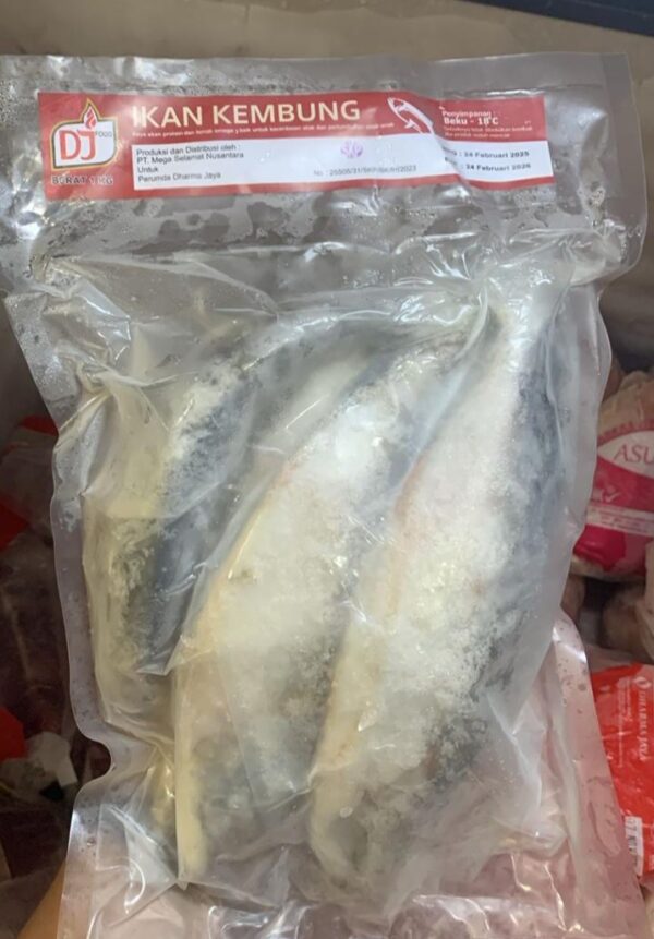 Ikan Kembung Fresh