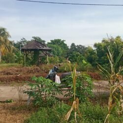 Kavling Tanah Nuansa Alam 4 Jonggol