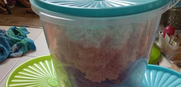 GENDAR dan RENGGINANG BU SITI